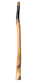 Jesse Lethbridge Didgeridoo (JL251)